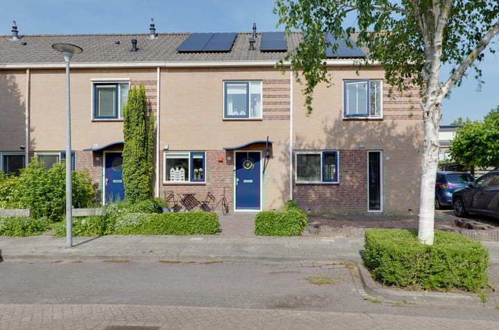 Foto 1 van Saffierstoep 88