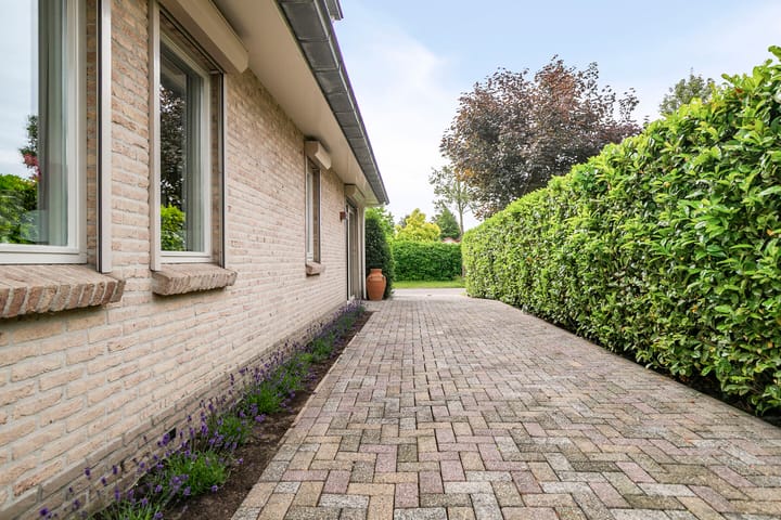 Photo 49 of Zeekraal 67