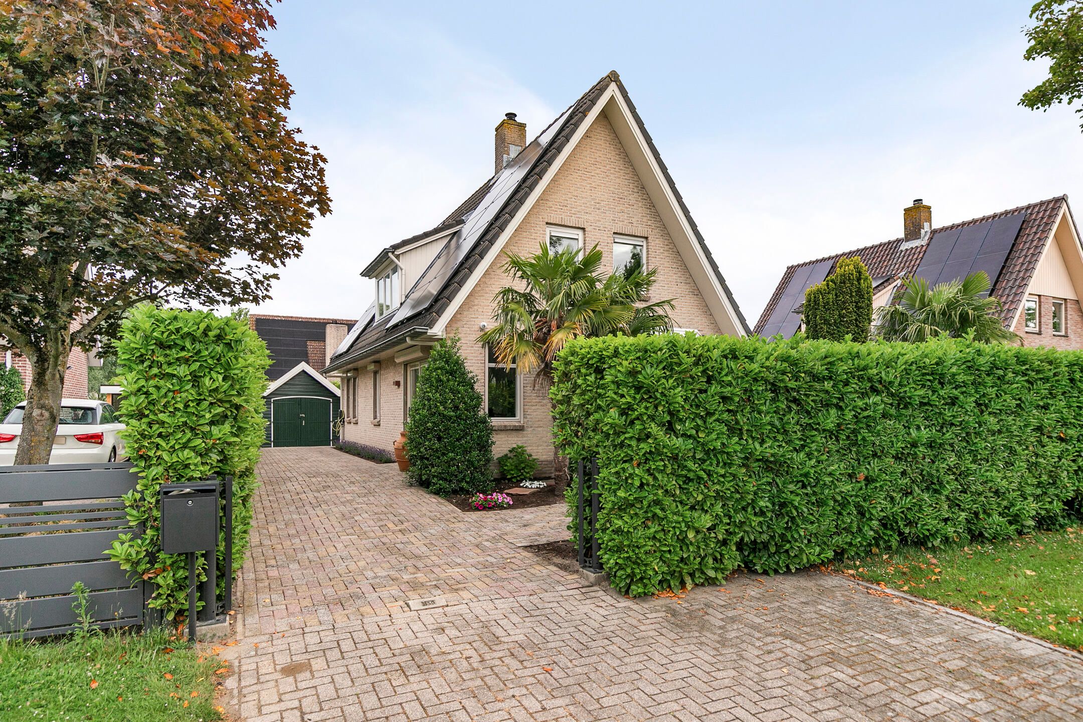 Foto 54 van Zeekraal 67