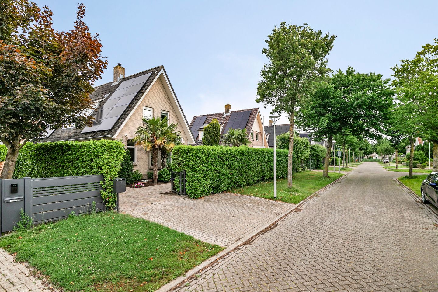 Foto 55 van Zeekraal 67