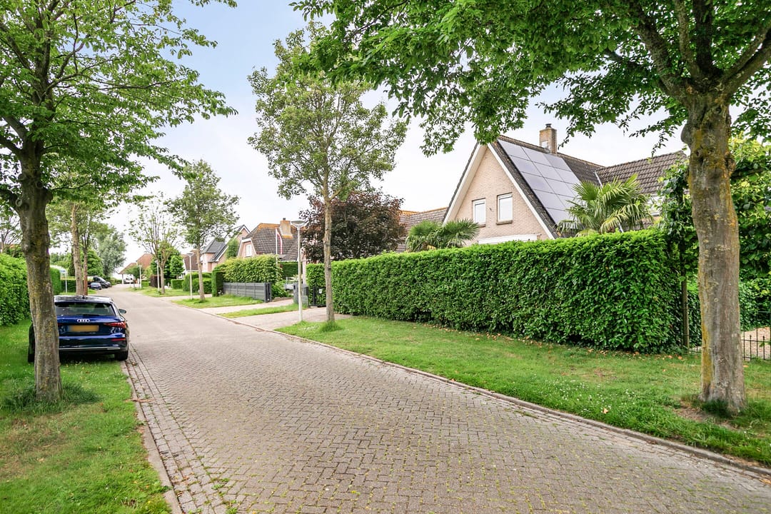 Foto 56 van Zeekraal 67