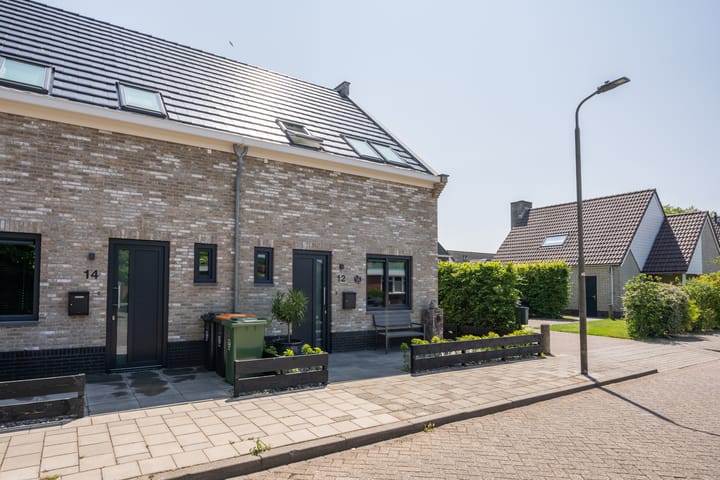 Foto 60 van Joan Hodshonstraat 12