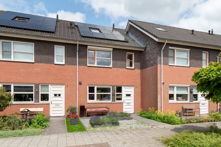 Foto 1 van Fluitekruid 69