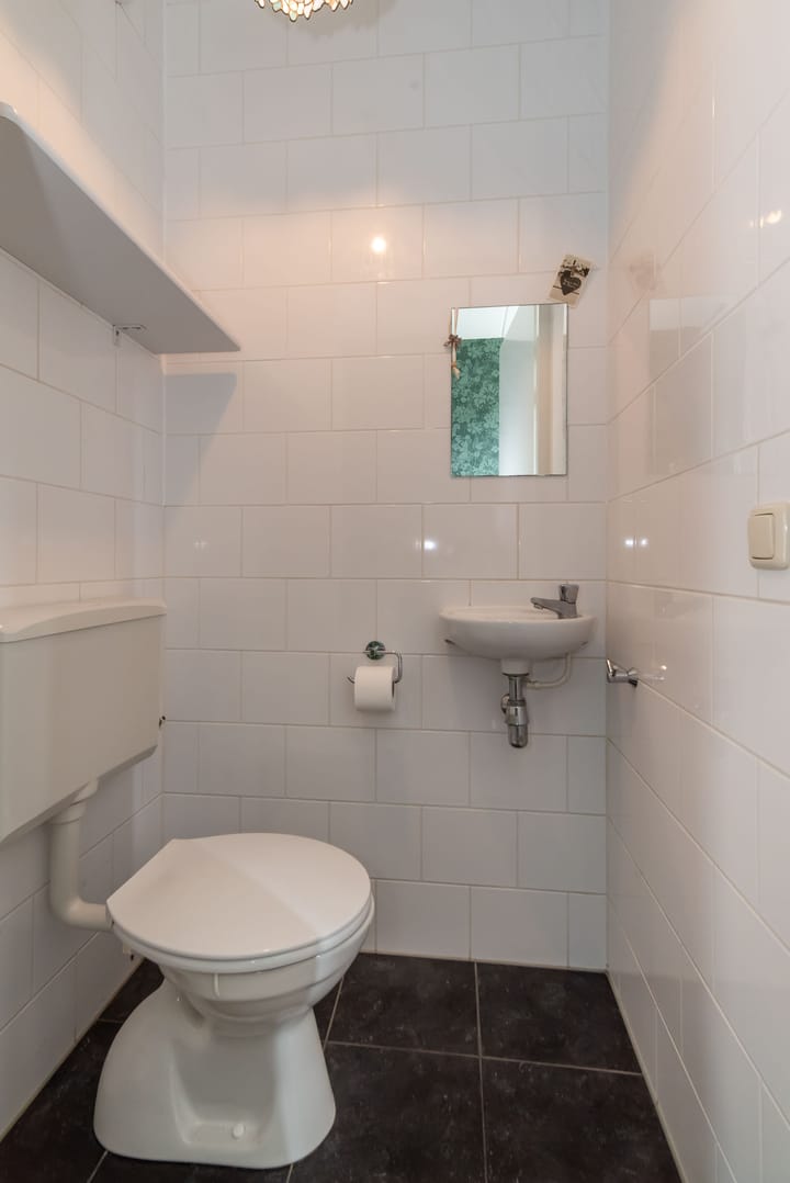 Foto 14 van Fluitekruid 69