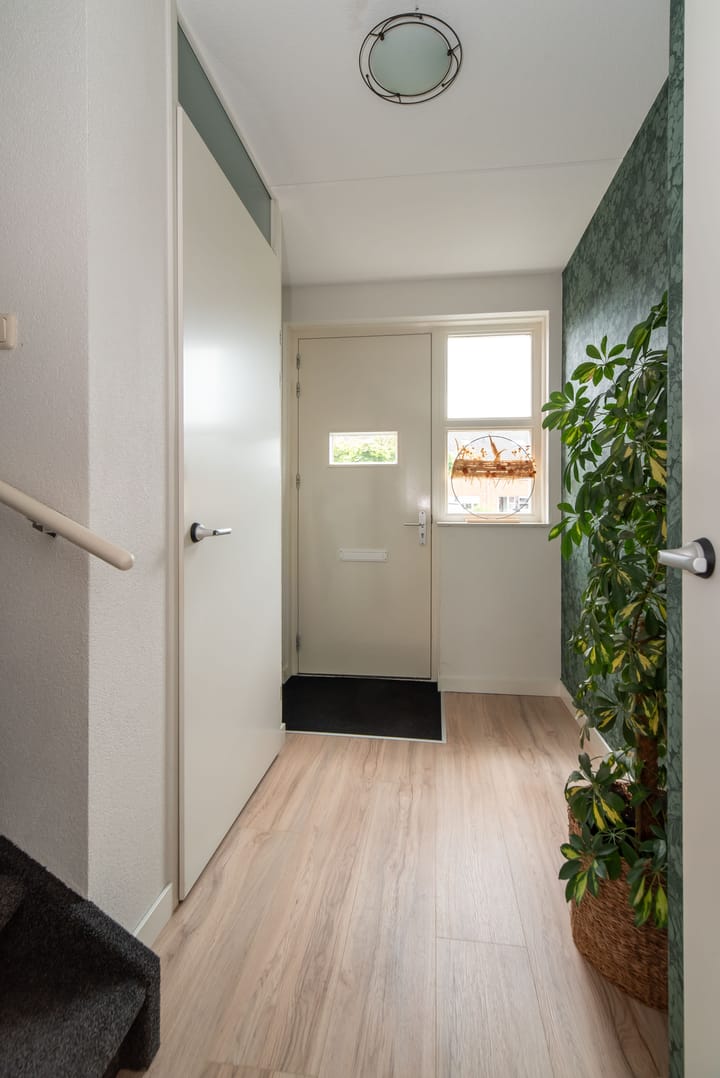 Foto 15 van Fluitekruid 69