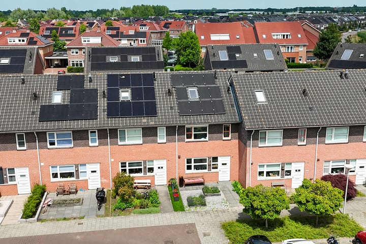 Foto 2 van Fluitekruid 69