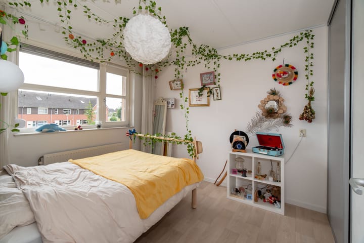 Foto 17 van Fluitekruid 69