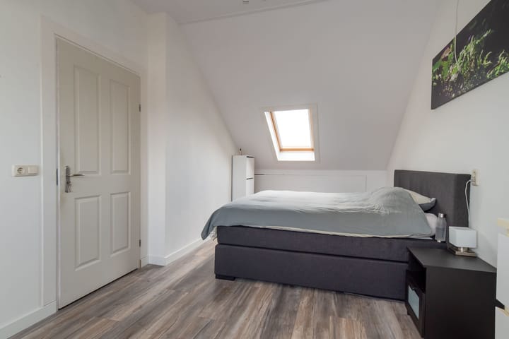 Foto 24 van Fluitekruid 69