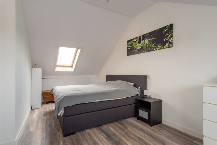 Foto 25 van Fluitekruid 69