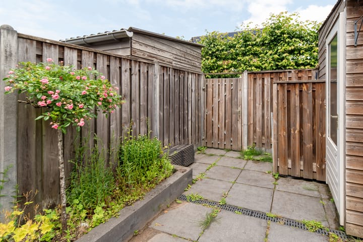 Foto 35 van Fluitekruid 69