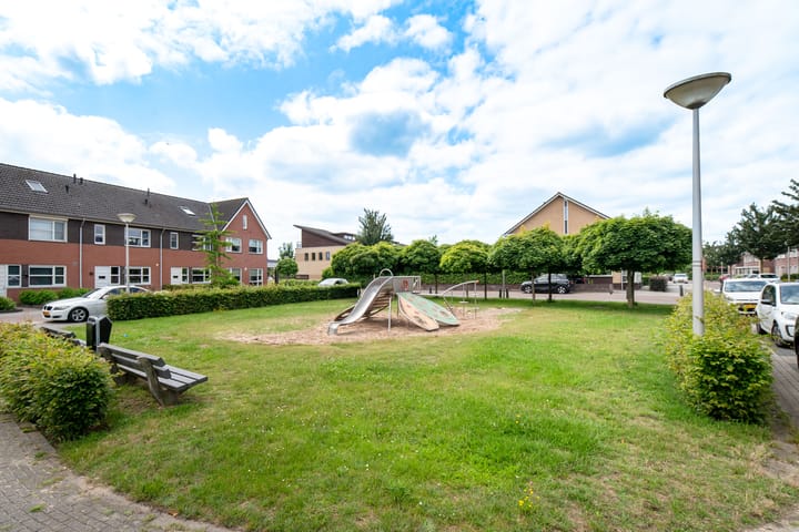 Foto 37 van Fluitekruid 69