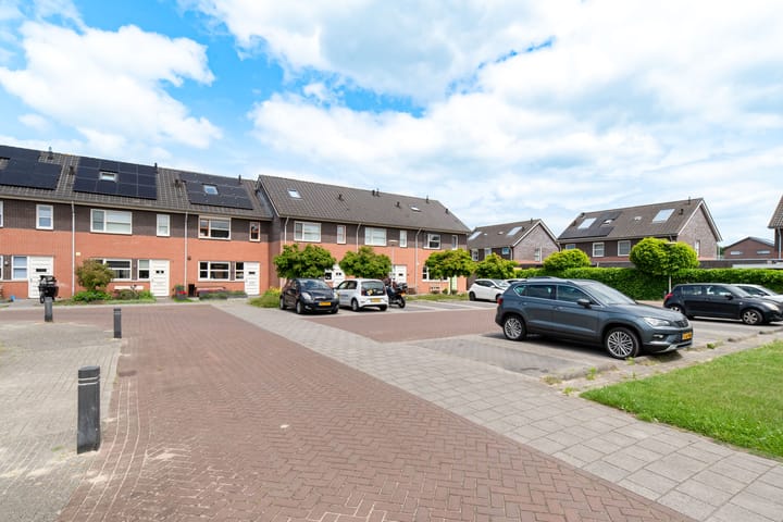 Foto 38 van Fluitekruid 69