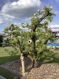 Foto 49 van Otterpad 17