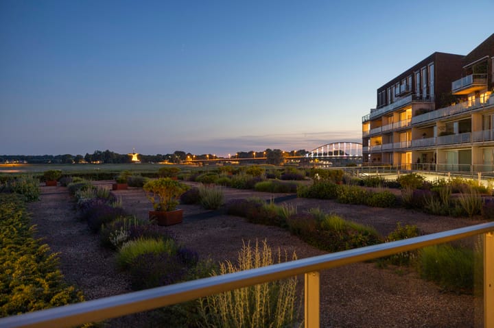 Foto 1 van Pothoofd 50