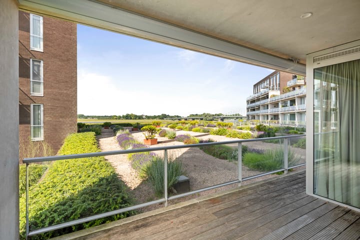 Foto 3 van Pothoofd 50