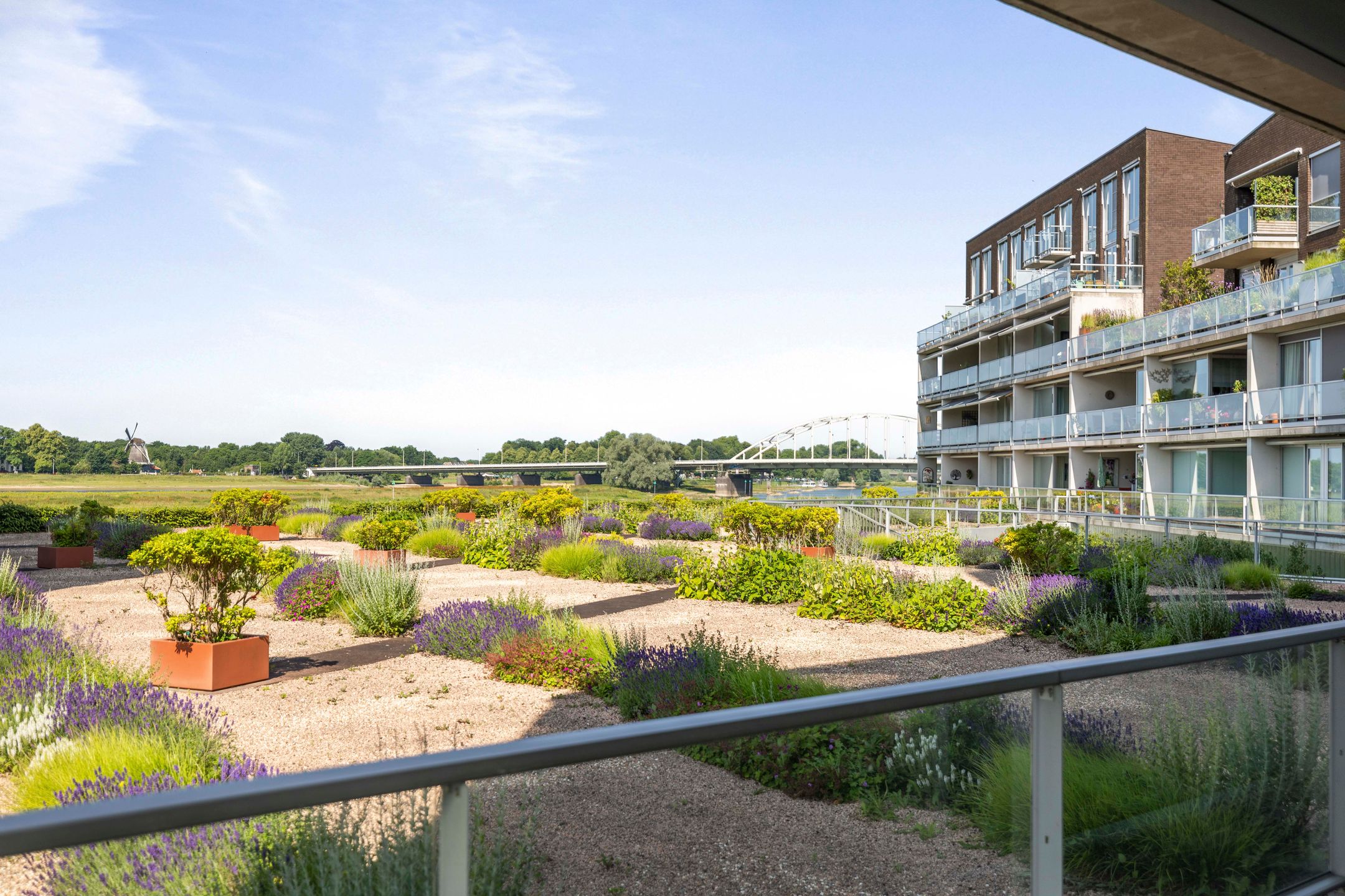 Foto 6 van Pothoofd 50