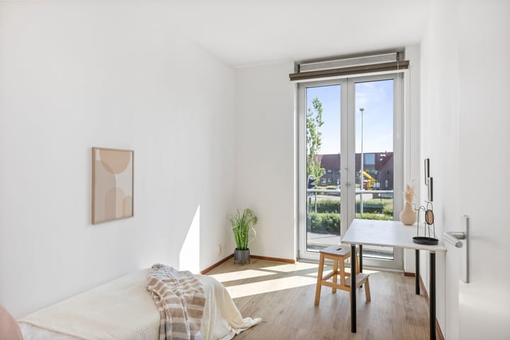 Foto 16 van Pothoofd 50