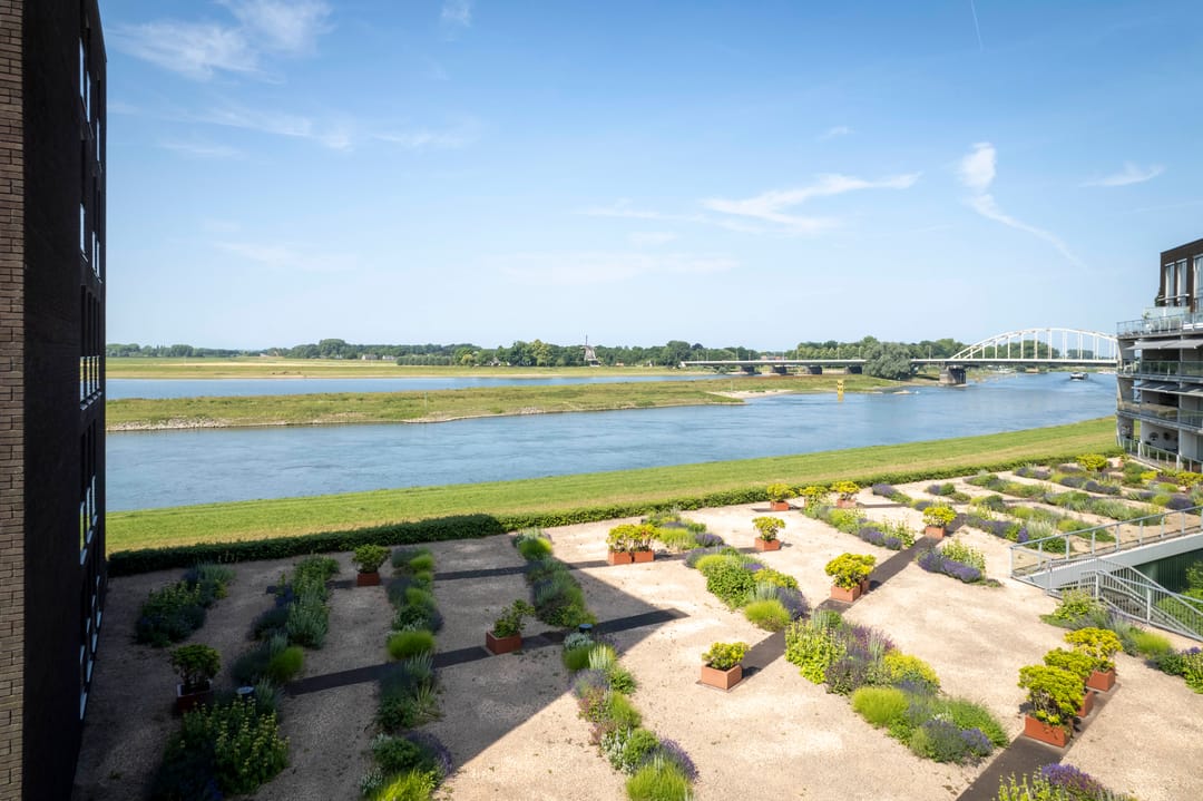 Foto 23 van Pothoofd 50