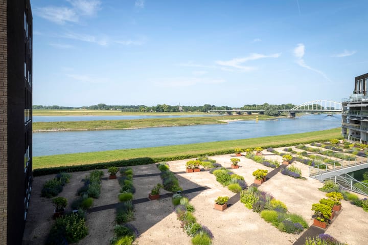 Foto 23 van Pothoofd 50