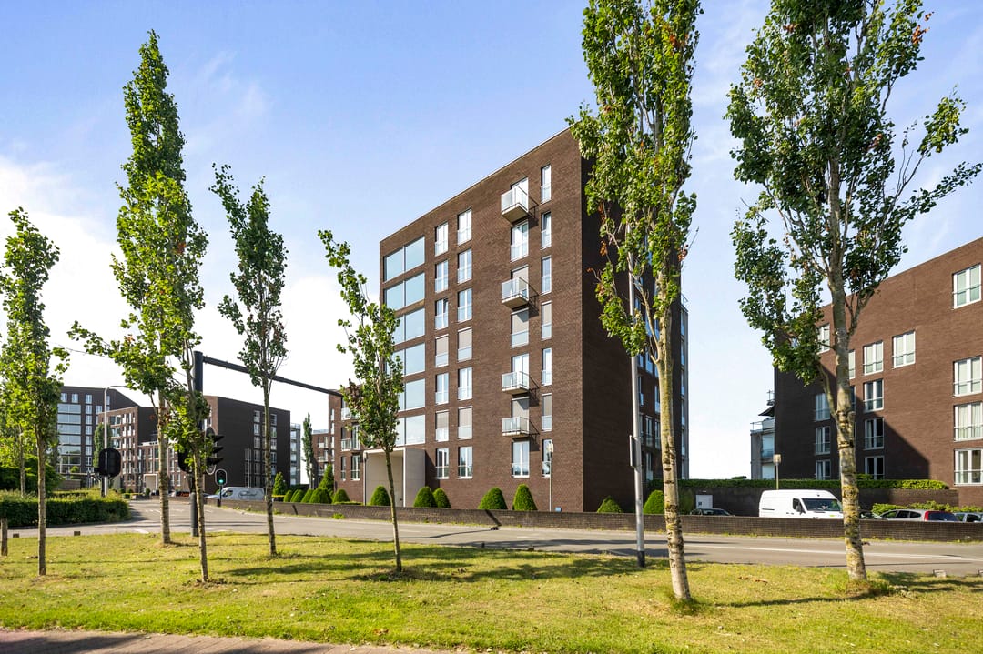 Foto 22 van Pothoofd 50