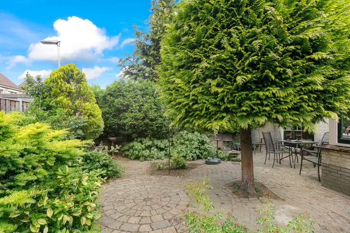 Foto 38 van Haydnsingel 15