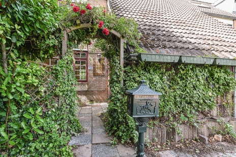 undefined main image