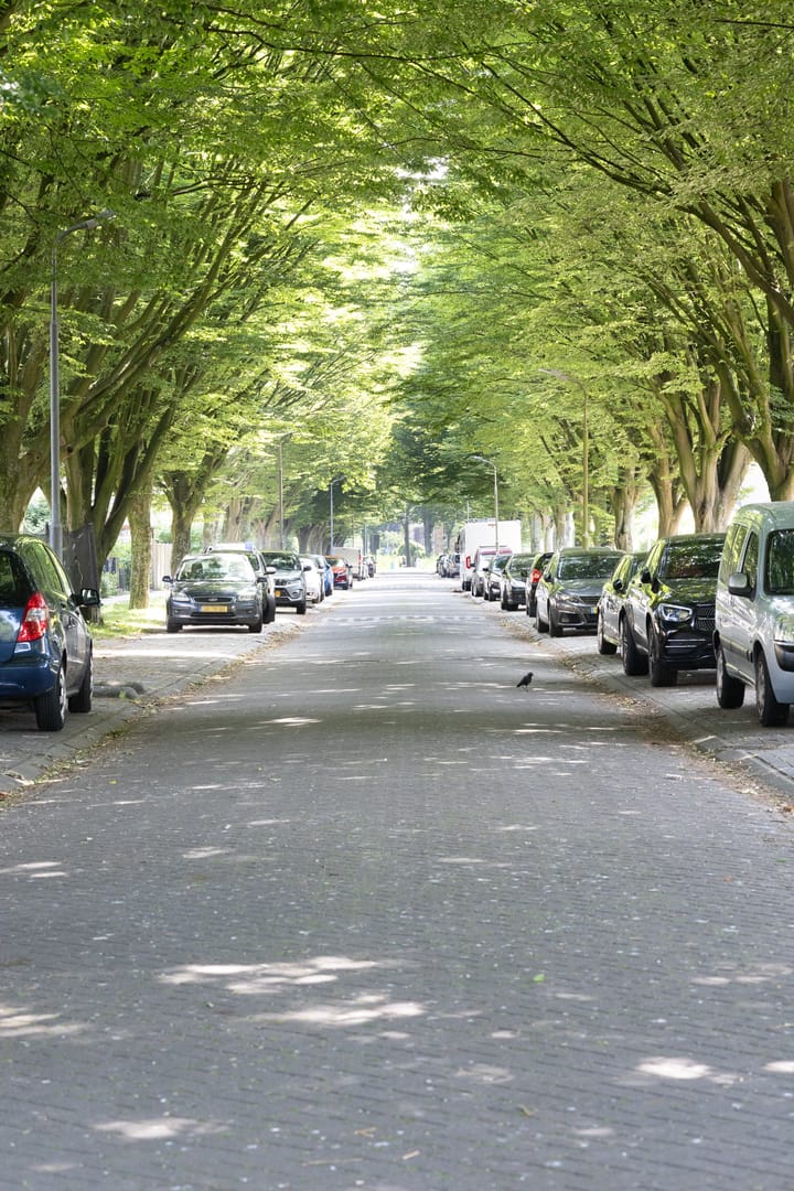 Foto 41 van Botterlaan 33