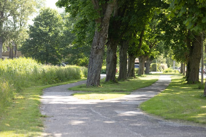 Foto 40 van Botterlaan 33