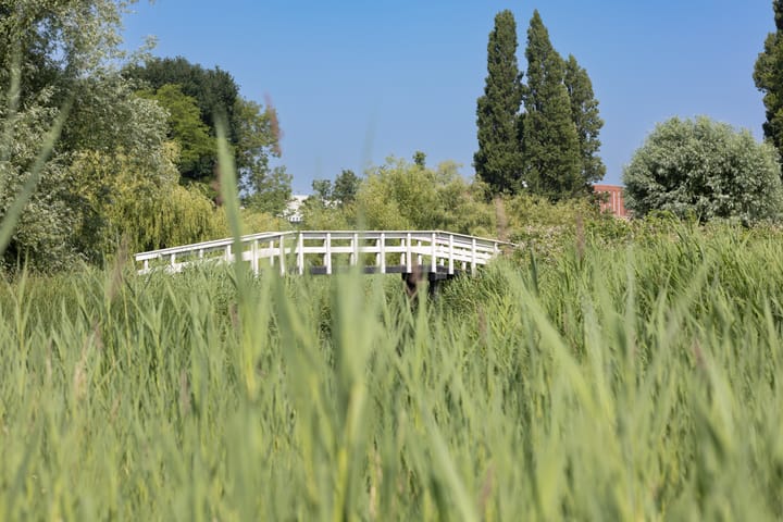 Foto 42 van Botterlaan 33