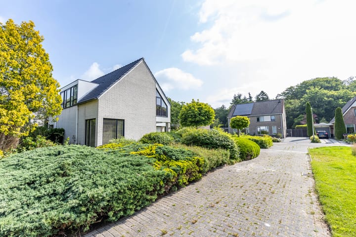 Photo 43 of De Lange Jacht 5