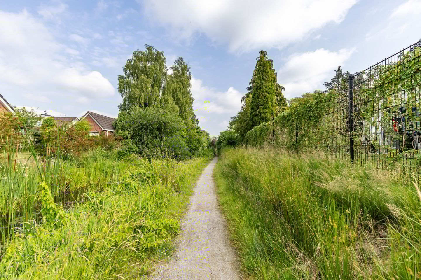 Foto 44 van De Lange Jacht 5