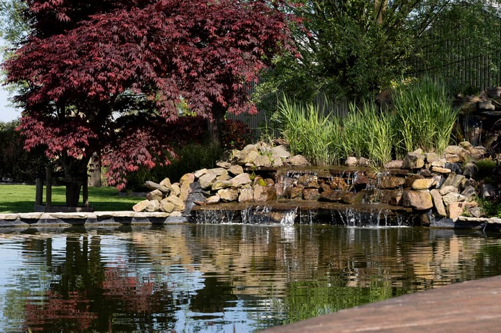 Photo 37 of Ringdijk 2e bedijking 18