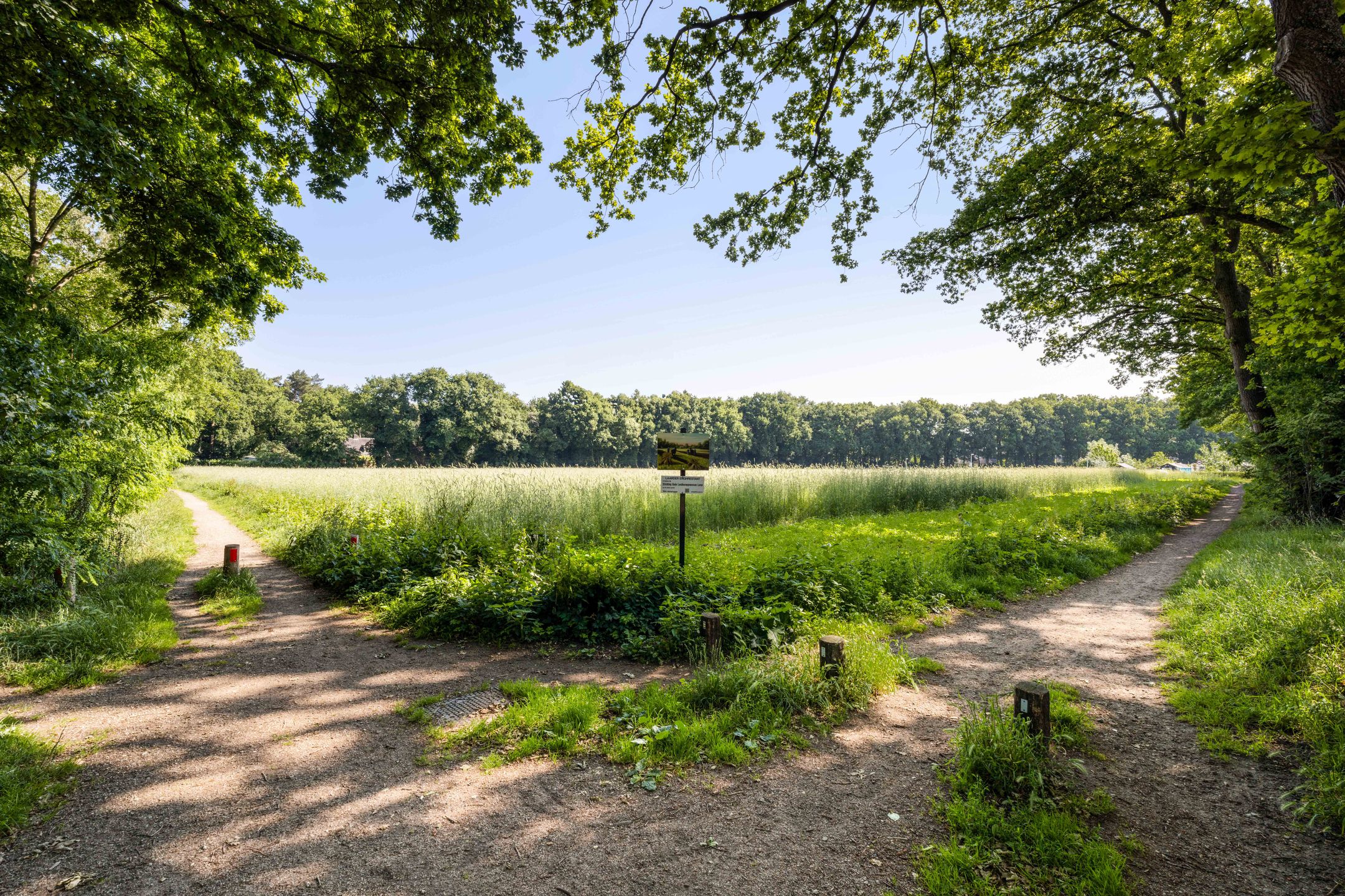 Foto 45 van Lingenskamp 55