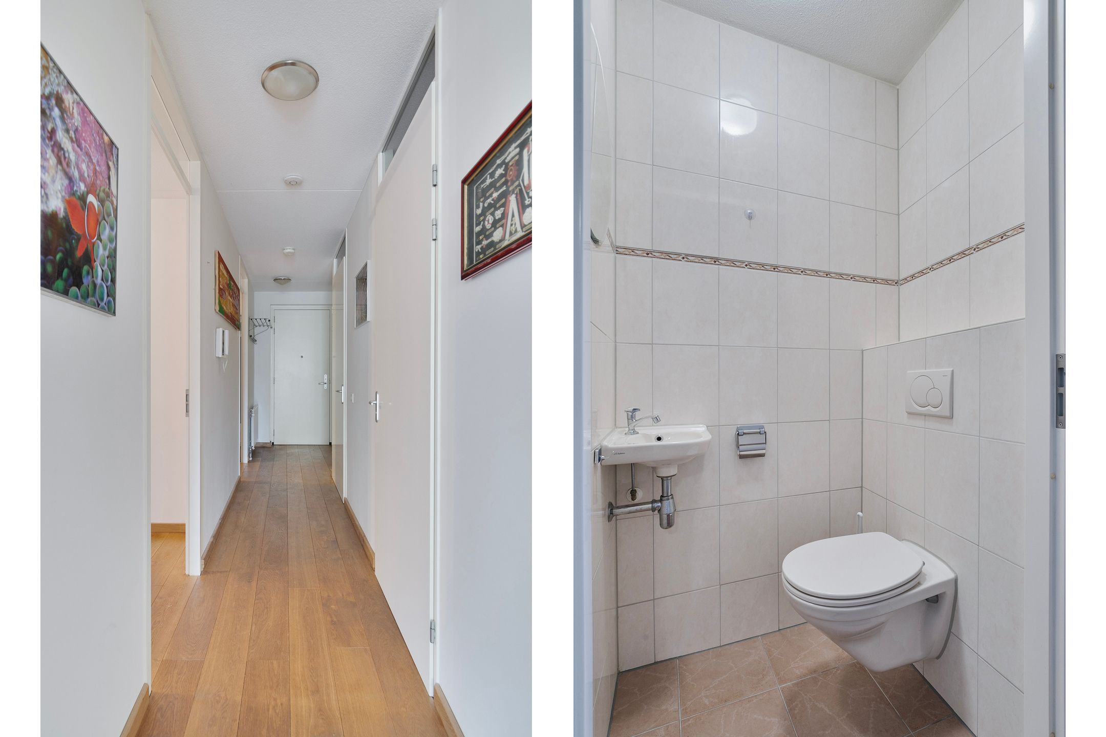 Foto 6 van Dollardpad 7