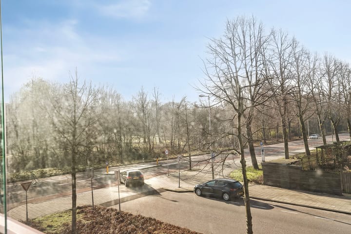 Foto 12 van Dollardpad 7