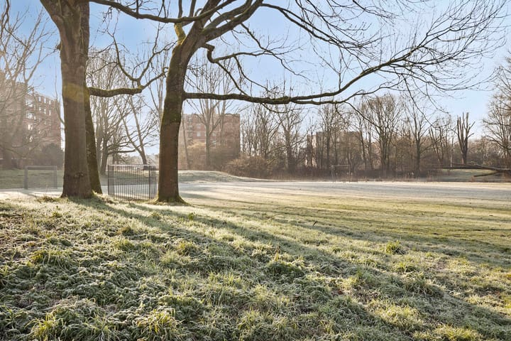 Foto 29 van Dollardpad 7