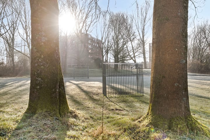 Foto 30 van Dollardpad 7