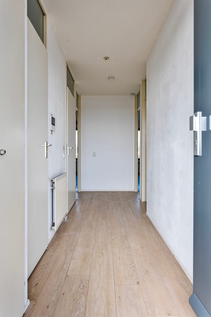 Foto 12 van Ir J.P. van Muijlwijkstraat 336