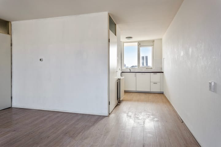 Foto 20 van Ir J.P. van Muijlwijkstraat 336