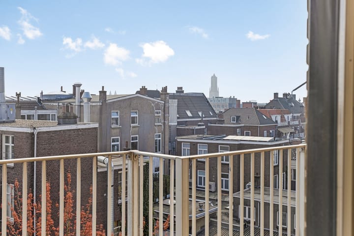 Foto 33 van Ir J.P. van Muijlwijkstraat 336