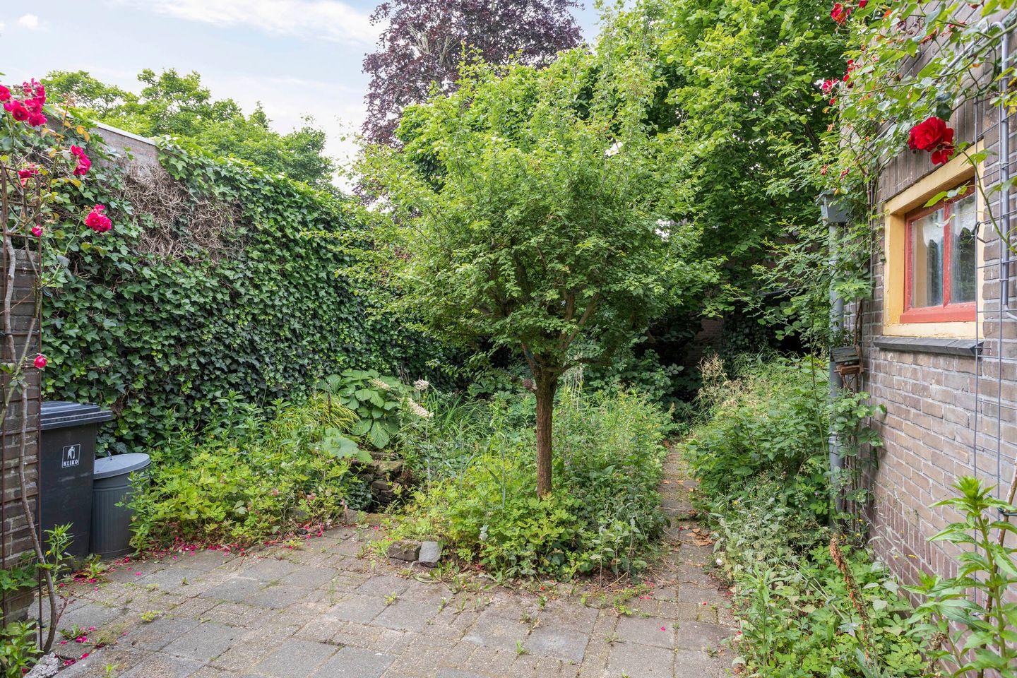 Foto 35 van Burgemeester Wijnenstraat 29