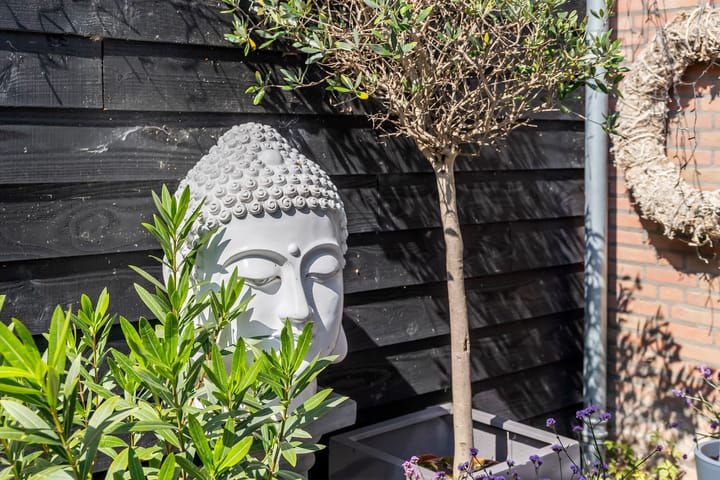 Foto 15 van Buitendijk 102