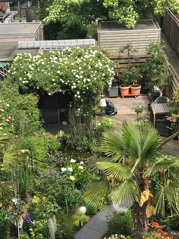 Foto 24 van Schoonenburgsingel 71