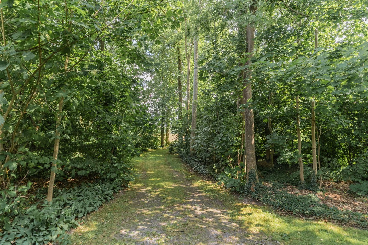 Foto 64 van Groenstraat 32