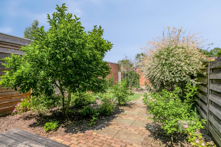 Foto 6 van De Lint 34