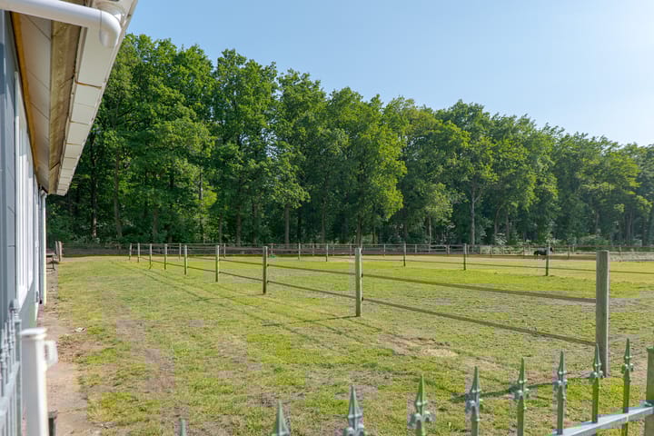 Foto 22 van Borgerderweg 21