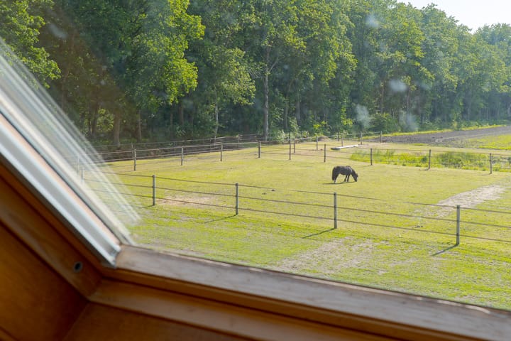 Foto 34 van Borgerderweg 21