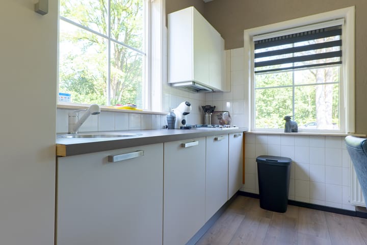 Foto 55 van Borgerderweg 21