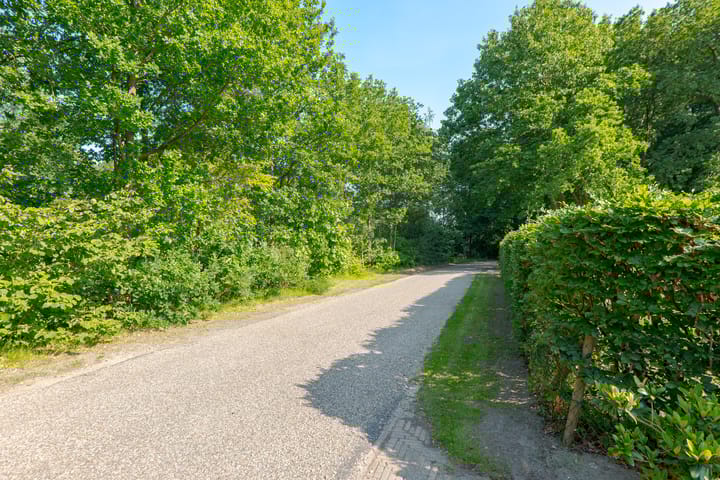 Foto 81 van Borgerderweg 21