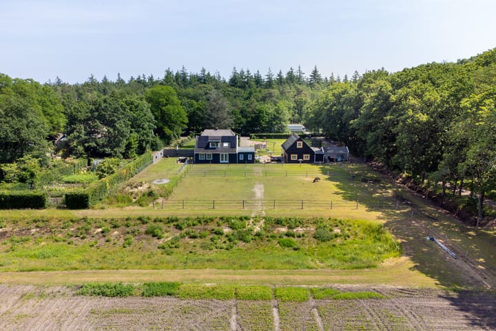 Foto 83 van Borgerderweg 21